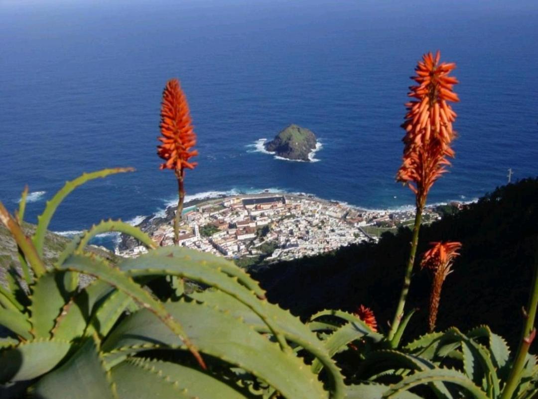 Apartamento Playa San Marcos Icod De Los Vinos Quarto foto