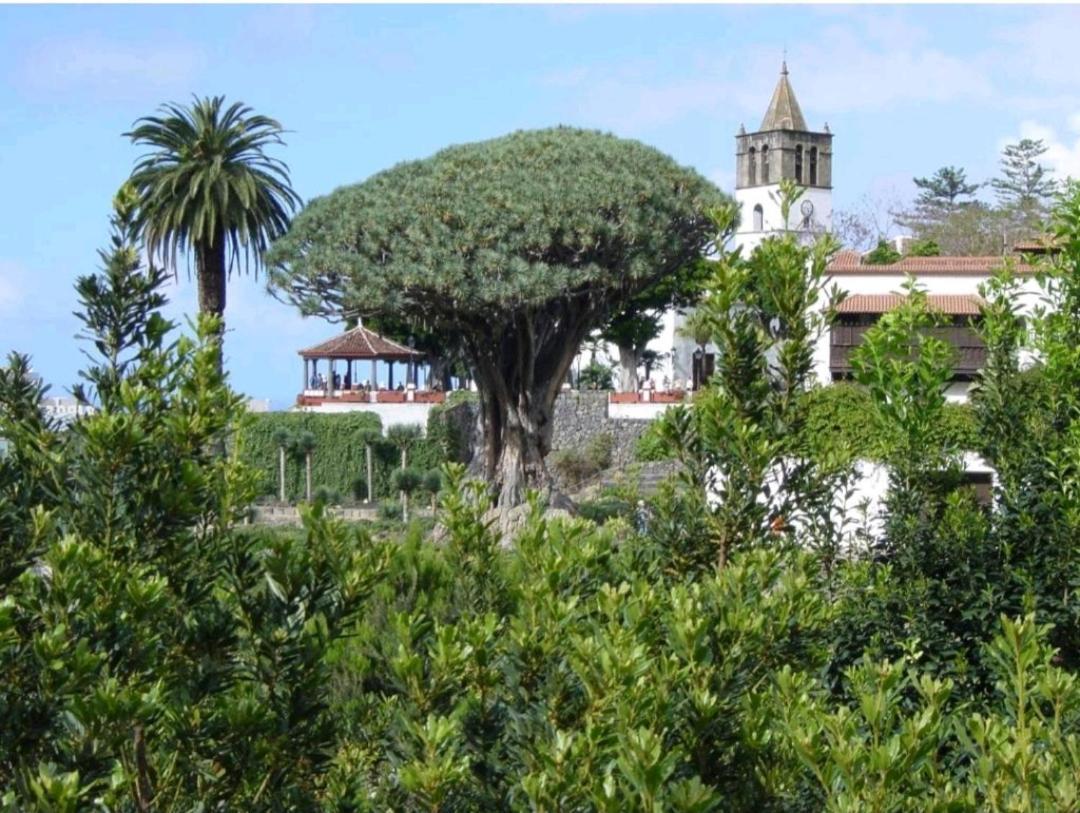 Apartamento Playa San Marcos Icod De Los Vinos Quarto foto